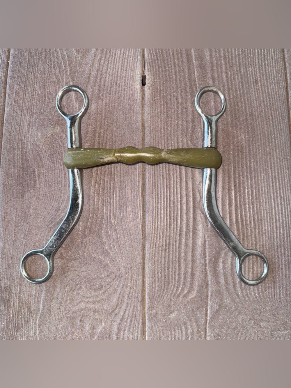 Horse Bit for Decor *Cracked*